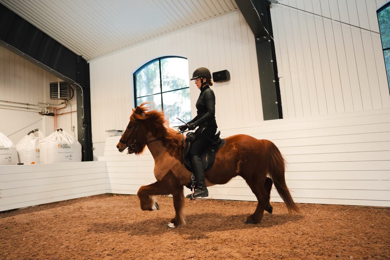 Máni Hilmarsson - tränare