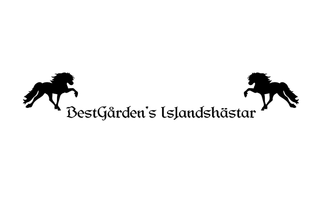 BestGårdens Islandshästar